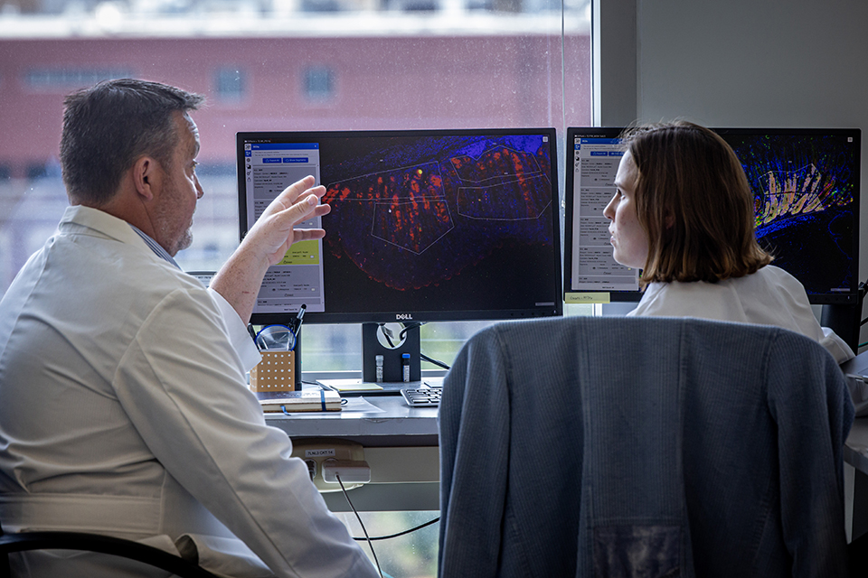 Richard DiPaolo, Ph.D., professor and chair Molecular Microbiology and Immunology, reviews data on a computer screen. 